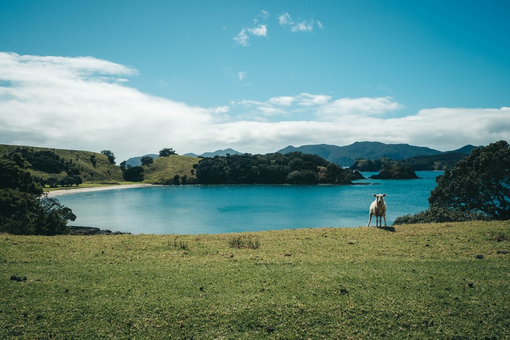 Urapukapuka, New Zealand