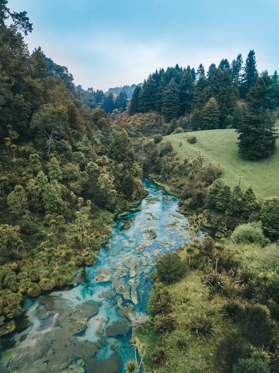 Blue Spring Putaruru, New-Zealand